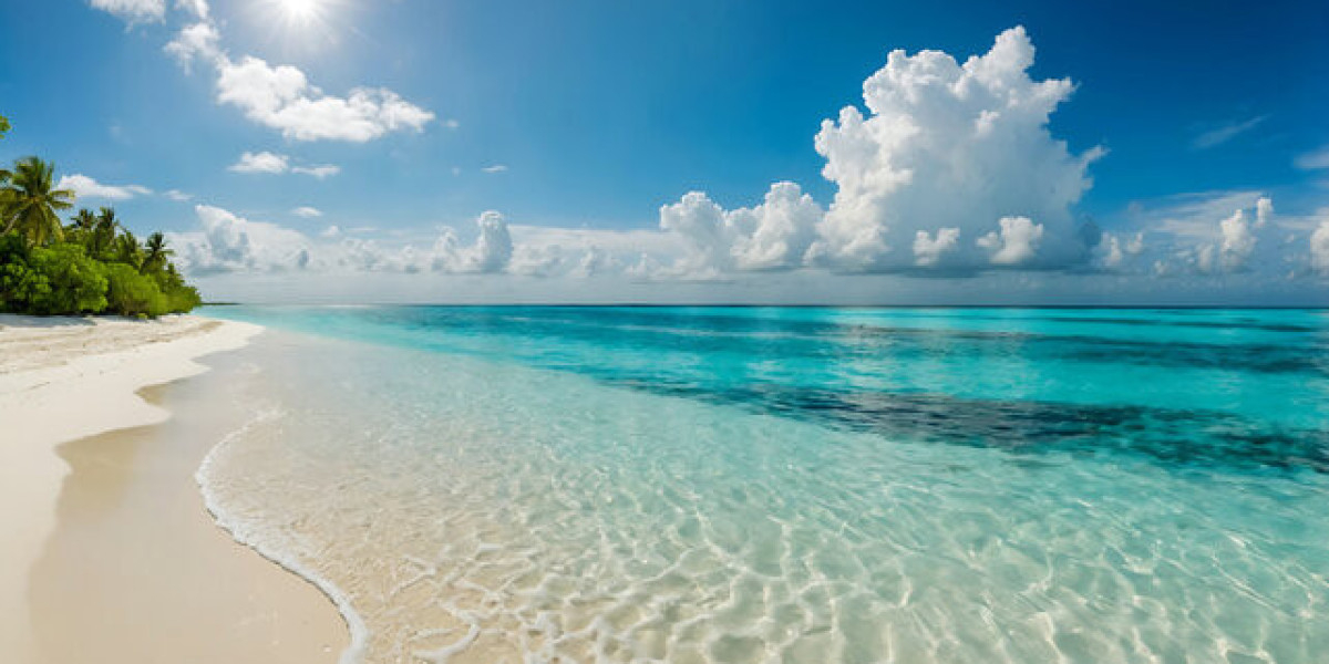 Best Beaches in Maharashtra Offering Stunning Sea View Escapes: {Kolthare Beach}