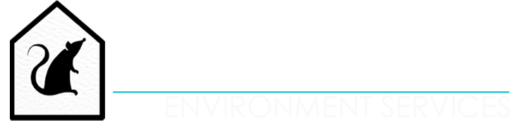 Bed Bugs Removal in Merseyside | Master Pest Tech