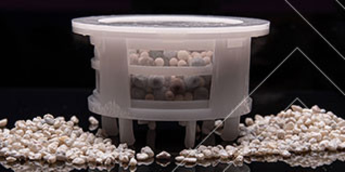 How Specialty Zeolite Market Size Analysis Demand Surges