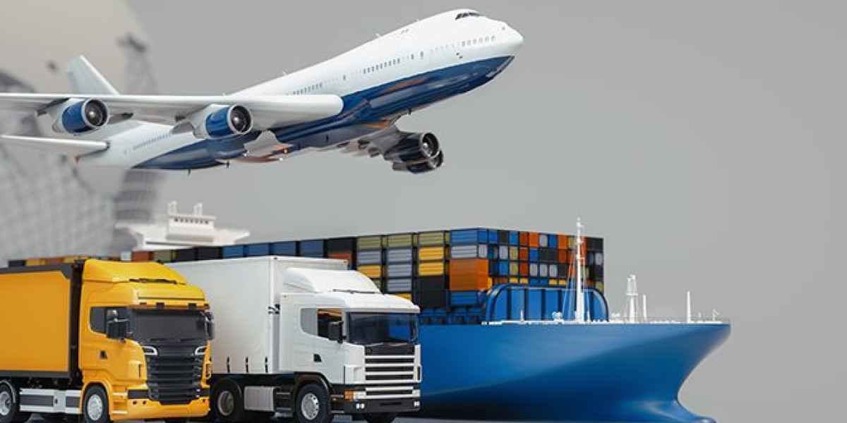 Understanding Import Procedures and Cargo Compliance in Australia