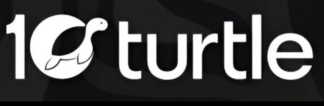 10 turtle Cover Image