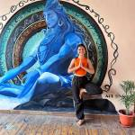 AYM yoga school Profile Picture