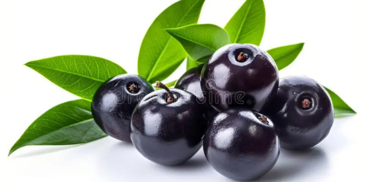 ACAI Berry Market Future Shaped by Consumer Lifestyle Trends