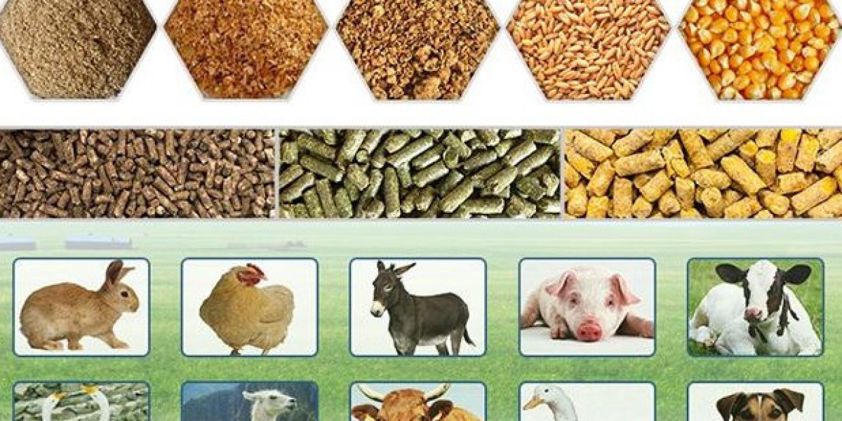 Poultry Feed Market Growth Analysis and Future Trends 2035