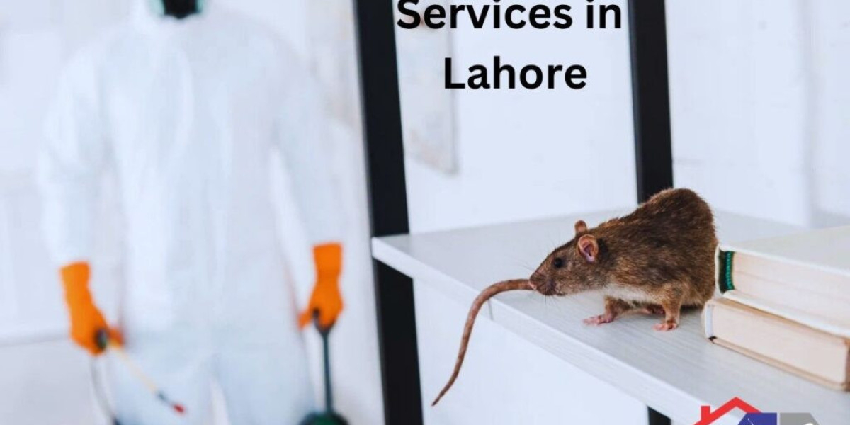 Best Rodent Services & Fumigation Services in Lahore | Usman Pest Control