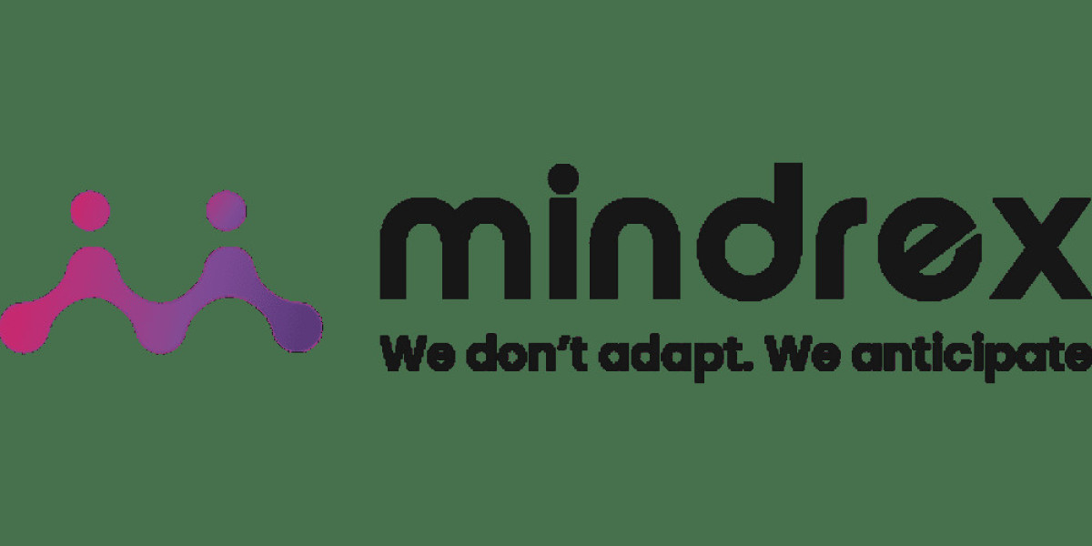 Custom Software Development Company in Dubai